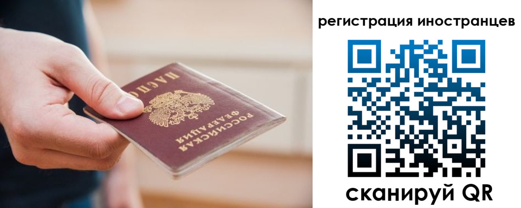 прописка гарантия в Дальнегорске
